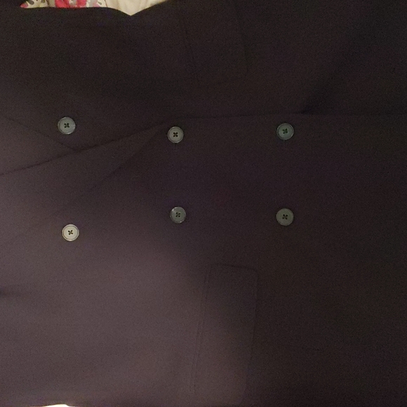 Babaton Enoch double brested Blazer from Aritzia - Picture 4 of 7